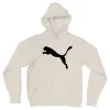 Blusa Moletom Puma Com Capuz Premium